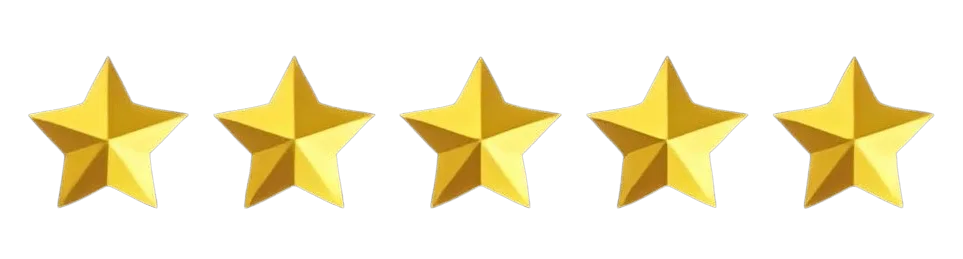 5 stars
